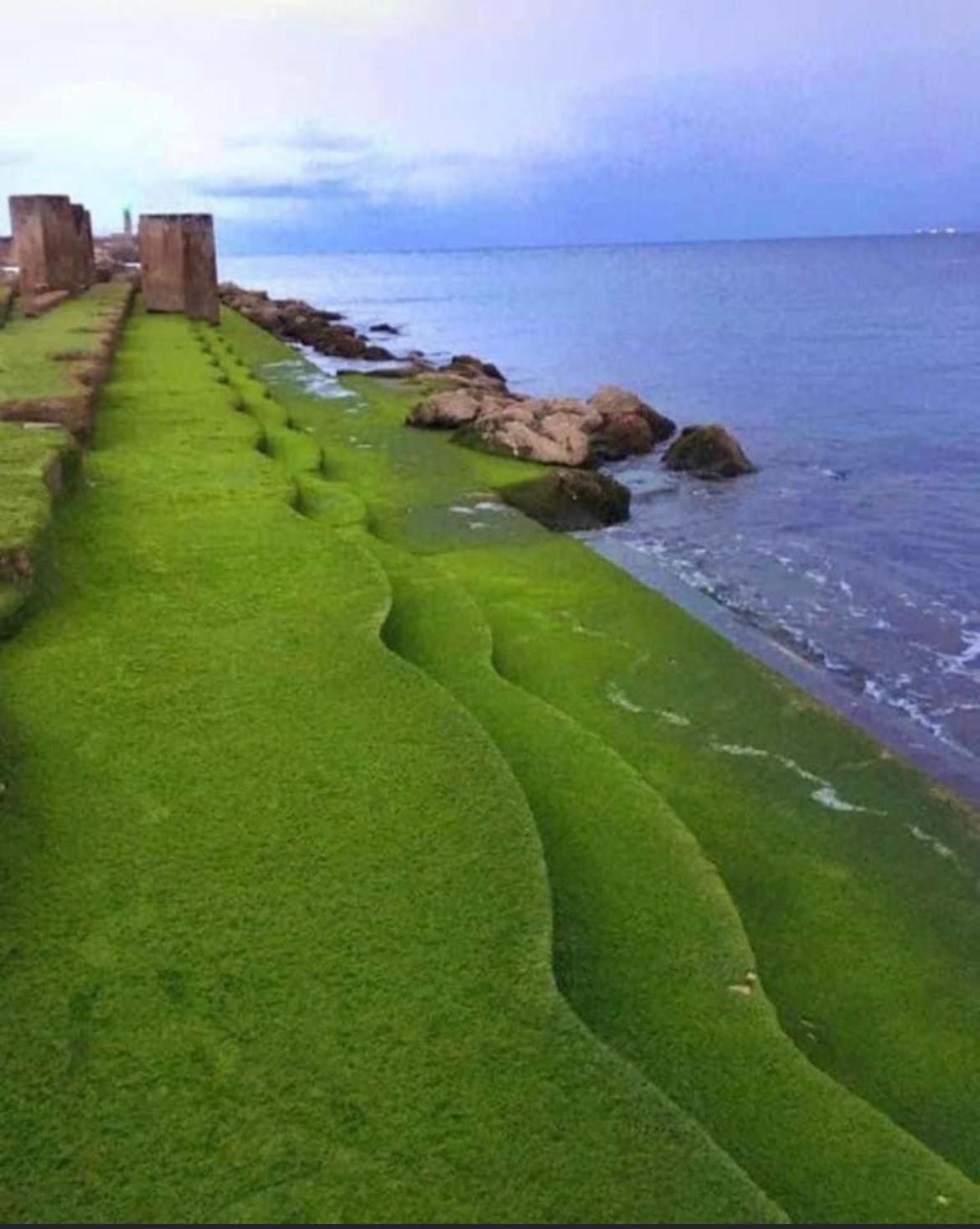 Dias De Ensueno En Castro Urdiales Exterior foto